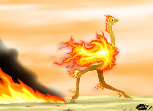 Burning Ostrich